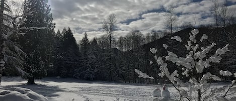 Snow View
