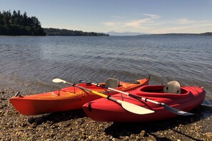 Four kayaks available, one with child buddy seat.