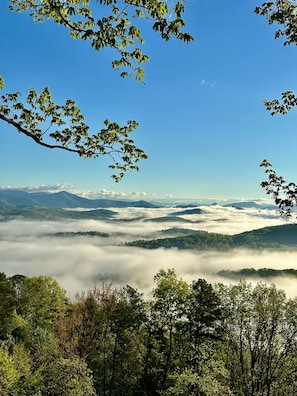 View in the AM with your morning coffee from the deck!