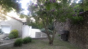 jardin et barbecue