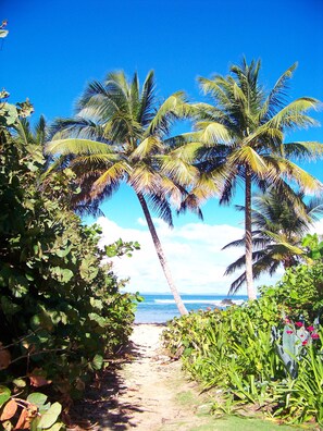 Welcome to your own Caribbean beach.