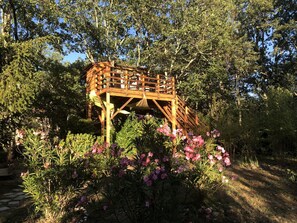 chambre dans les  arbres