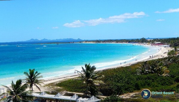 Studio view- Orient bay