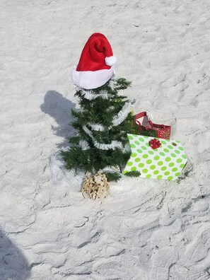 Christmas is a perfect time to be on the beach. White power sand🌴🌴♥️♥️