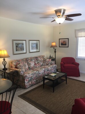 Very Comfortable Living Room