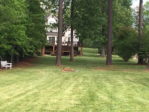 Back yard