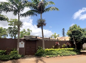 outside street view. Fully fenced in home. Avocado tree, date palms and ti leaf