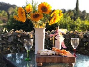 Wine and cheese on the balcony 