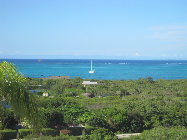 view from balcony