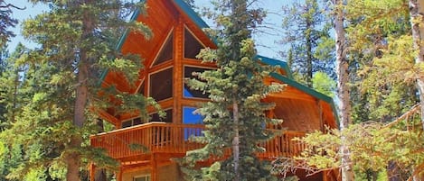 Front of the log cabin that faces the meadow. 