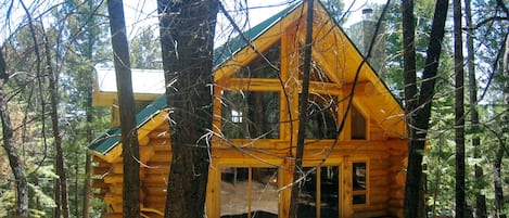 Looking at cabin from forest