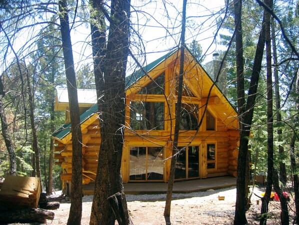 Looking at cabin from forest