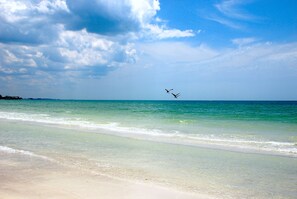 The Gulf of Mexico on Siesta Key-one of the most beautiful locations in  the USA