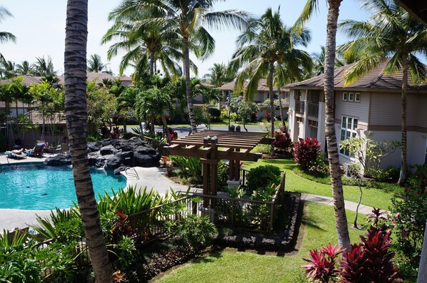 Pool and Fitness center
the unit is 80 steps from back door to pool and fitness 