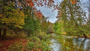 Boardman River  - Blue Ribbon Trout Stream 
