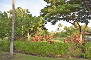 View from lanai BBQ area