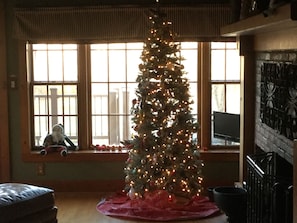 Christmas tree for 2017 set up in Great room for your enjoyment.