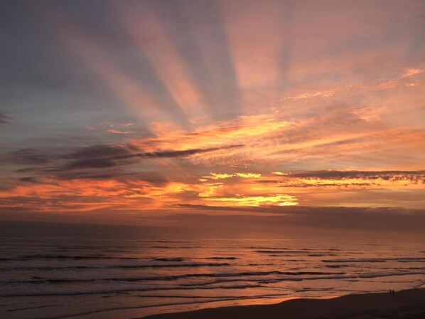 Wake up to the sounds of the ocean on beautiful New Smyrna Beach 