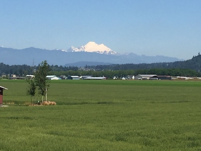 Spacious Skagit Valley Guest House With Stunning Views Of Mount Baker.