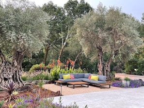 lounge under the Olive trees