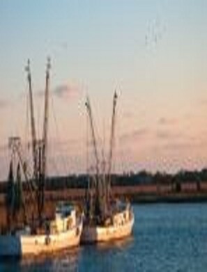 SHRIMP BOATS