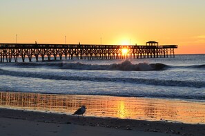 Sunrise over ocean waves with pier and seagull.