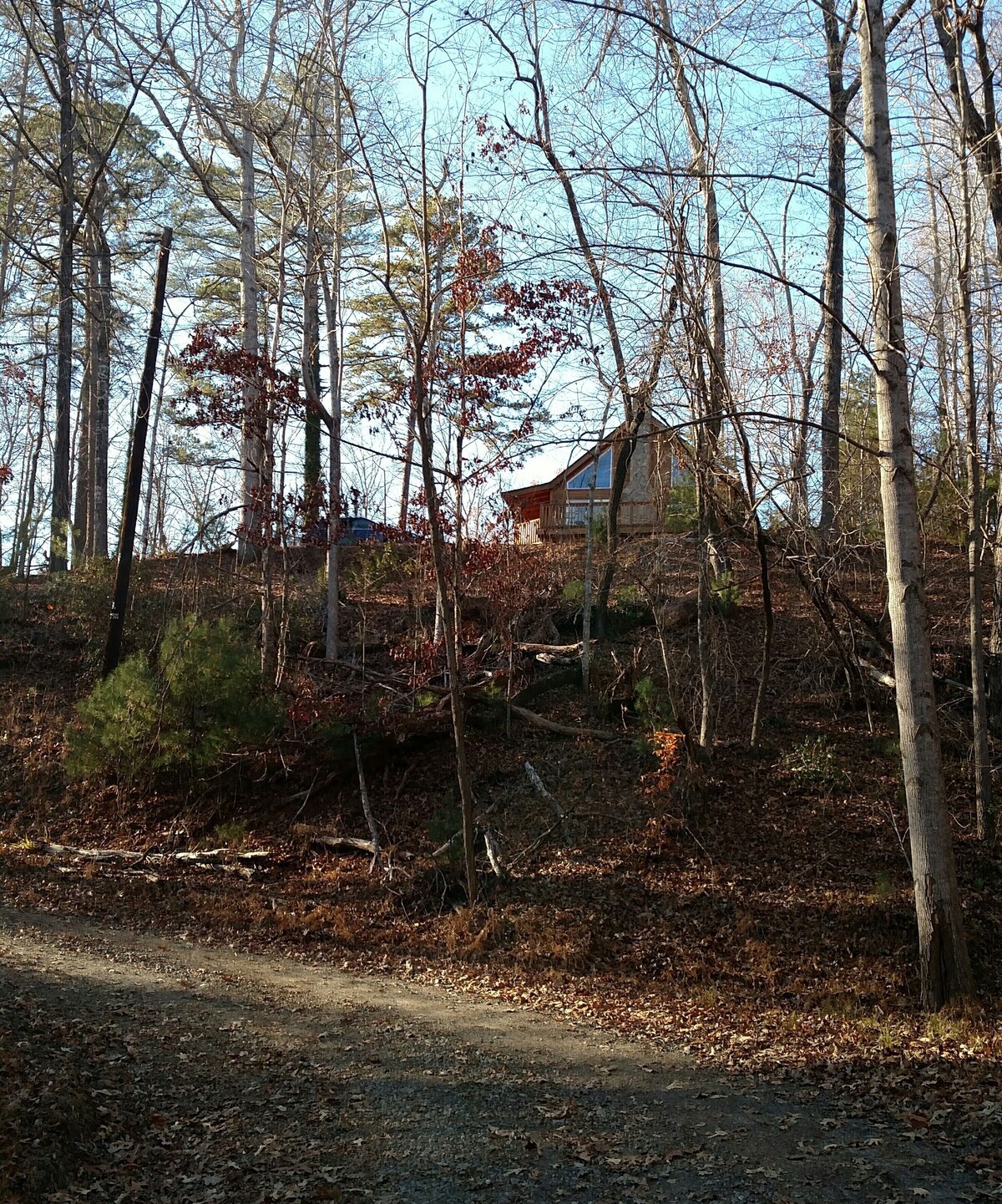 Main Image