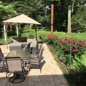 Outdoor patio in spring with lots of roses