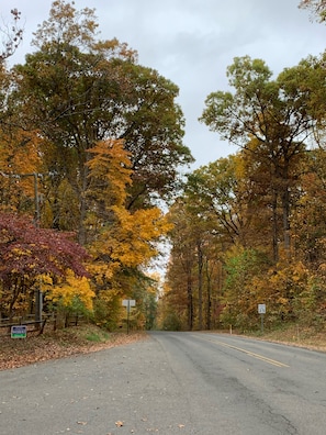 Fall on front of Cape cod, Blackwell road 