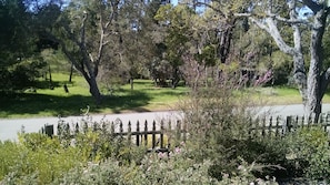 Front porch view- watch for deer, squirrels, raccoons, wild turkey, and birds!