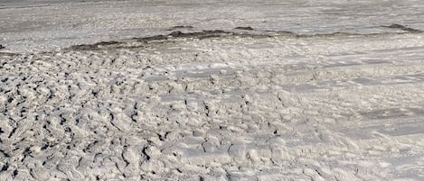 view from back door. this is low tide