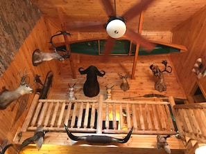 Taxidermy on upper level .