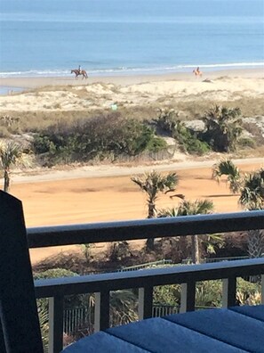 Gorgeous horses on our beach.  Watch from the balcony...or go horseback riding!!