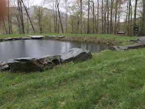 SPRING FED POND