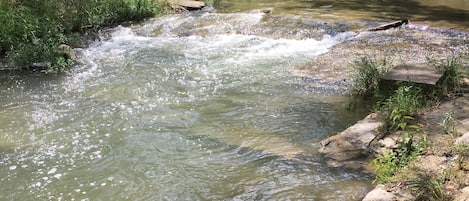 Guadalupe River