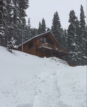 View of the cabin from the road! Get your snow boots ready!