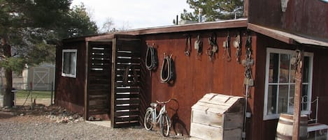 Outside view of the house - back door