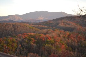 Fall In the Smokies