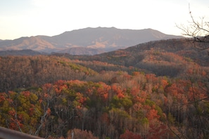 Fall In the Smokies