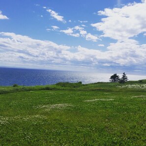 Watch the whales go by from your own private shore.