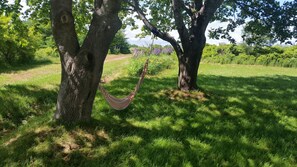 Relax in the hammock, shaded by the old growth trees.