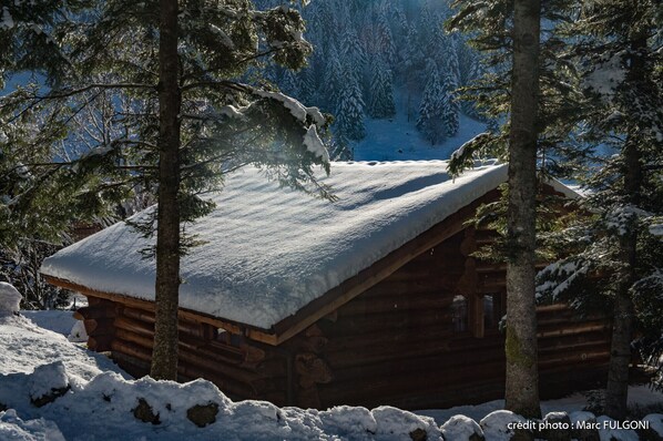 Location chalet hiver neige forêt activités La Bresse