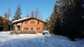 Exteriör