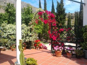 Mai-Juin: Sortie de la terrasse au jardin plein de fleurs de jasmin au printemps