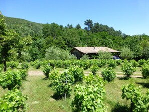 Boendeområde
