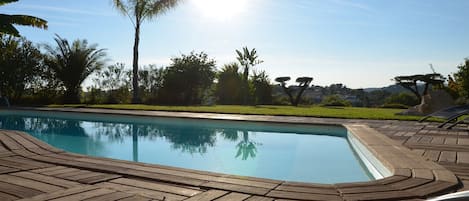 Vue de la Piscine avec ses cocotiers, oliviers et bananiers.