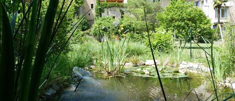 le gite vu du fond du jardin