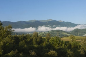 vue imprenable Pyrénées depuis la terrasse