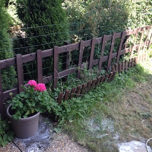 JARDIN COIN DES FRAISES SAUVAGES