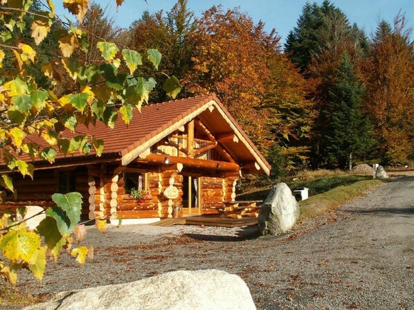 Chalet en rondin forêt La Bresse